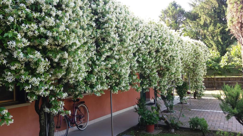 Dreon B&B Portogruaro Exterior foto